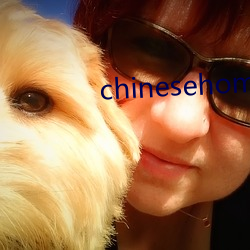 chinesehomadeviveo