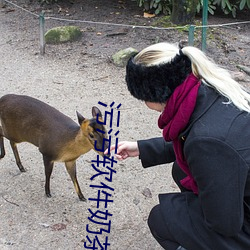 污污软(軟)件奶(奶)茶(茶)