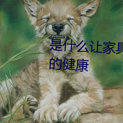 是什么让家具能够危害到了我们的健康