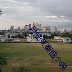 月(月)光变奏曲小(小)说(說)