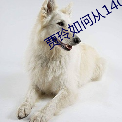 賈玲如何從140瘦到100斤