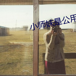 小(小)师妹是公(公)用鼎炉