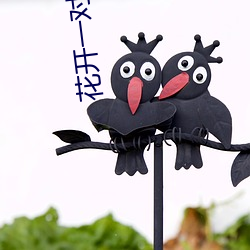 花开(開)一对一(一)视频app
