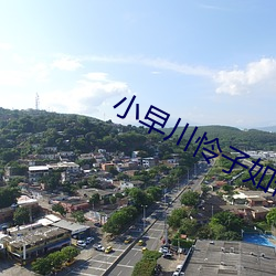 金年会 | 诚信至上金字招牌
