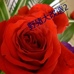 野猪大改造2