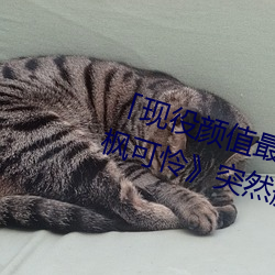 「現役顔值最高」引退!人氣女優《楓可憐》突然刪光貼文引