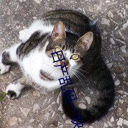 日产乱码一块卡二卡(kǎ)三