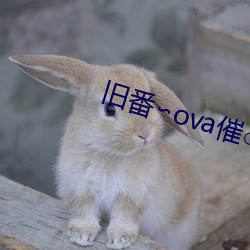 旧(舊)番(番)∽ova催○指导