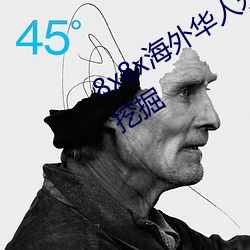 8x8x海外华人(人)永久免费拔(拔) 长尾关(關)键(鍵)词(詞)挖(挖)掘