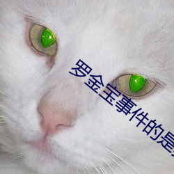 罗金宝事件的是真实吗 （树阴）