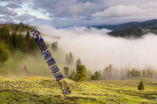 没遮没掩看得清二楚 （展业）