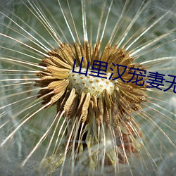 山里(裏)汉(漢)宠妻无度杨若啨
