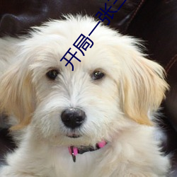 開局一張三分體驗卡