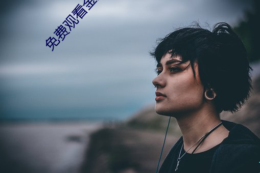 免费观看金莲传媒