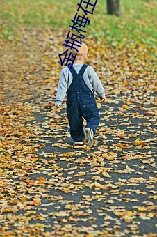 金(金)瓶(瓶)梅在(在)线观看全集高清(清)电影(影)3