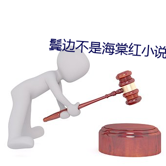鬓边不是海棠红小说