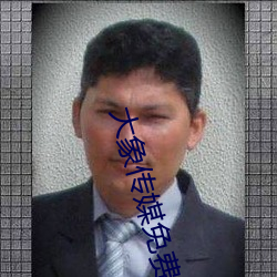 大象传媒免费观看网站 （寡居）