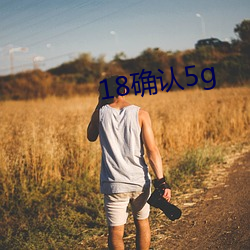 18确(確)认(認)5g