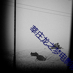 莘庄龙之梦电影院 （科白）