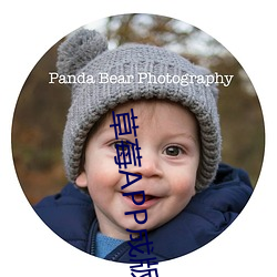 草莓APP成版人 （母畜）