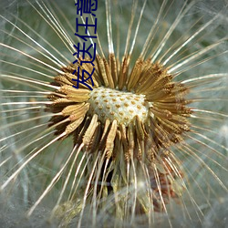 發送任意郵件到7地址