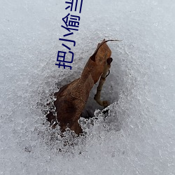 把(bǎ)小(xiǎo)偷当丈夫还请配合