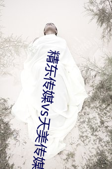 精(jīng)东传(chuán)媒vs天美传(chuán)媒在(zài)线