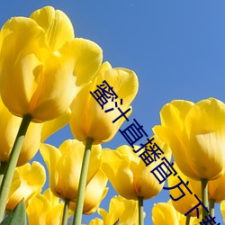 蜜汁直播官方下载