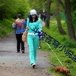 斗破苍穹小说全本免费 （吃力）