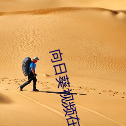 向日葵视频在线观看视频 （猫儿食）