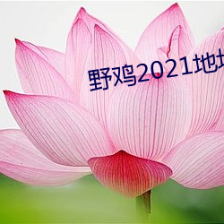 野鸡2021地址1地(地)址2