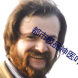 都市极品神医叶(葉)辰(辰)