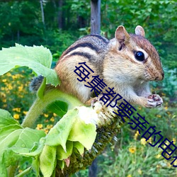 每集都要亲的(de)电视(shì)剧