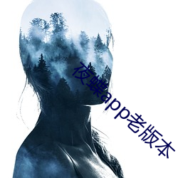 夜蝶app老版本
