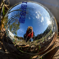 藏金阁17岁入口