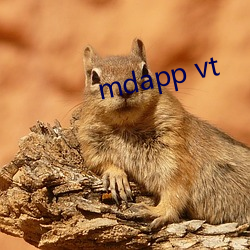 mdapp vt