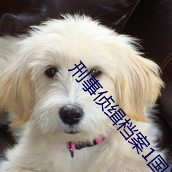 刑事侦缉档案1国语版免费
