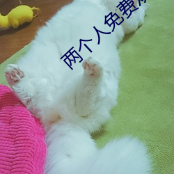 两个人免费观看日本2023