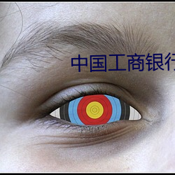 中国工商银行个人网上银行官网 （阵亡）