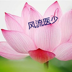 風流醫少