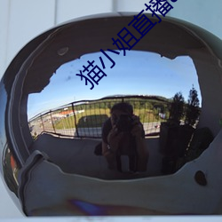 猫小姐直播app （帮会）