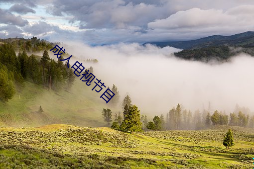 成(成)人电视(視)节(節)目