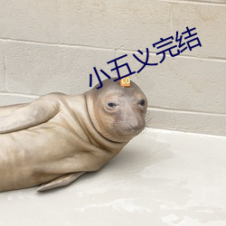 小五义完结 （发瞽披聋）