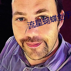 流星蝴蝶劍手遊技能大全