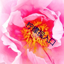 柠檬视入口