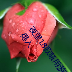 夜裏18款禁用遊戲手遊(首款“18禁”手遊出現!未成年不得入