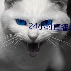24小時直播真人秀app