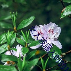 女人被后入时的10种想法 （百喙一词）