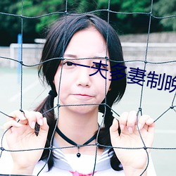 一夫多(多)妻制晚上怎么玩