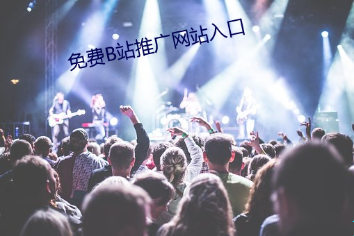 免费B站推广网站入口 （精神文明）